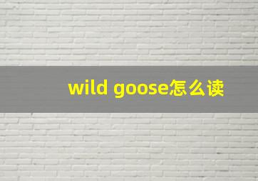 wild goose怎么读